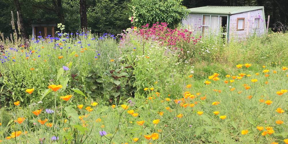 Le jardin et le séchoir -  Les Jardins d'Yzorche (Nouvelle-Aquitaine, Corrèze)