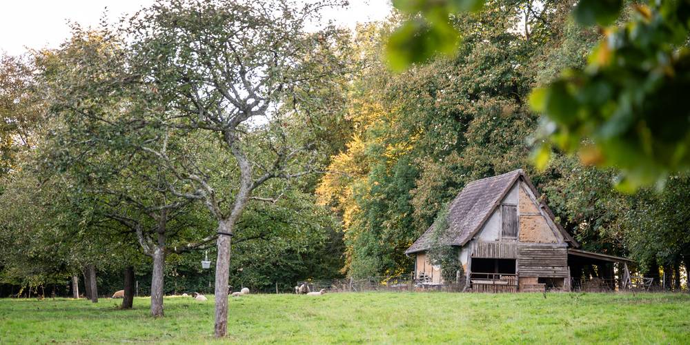  My structure (Normandie, Seine-Maritime)