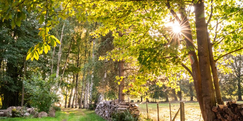  My structure (Normandie, Seine-Maritime)