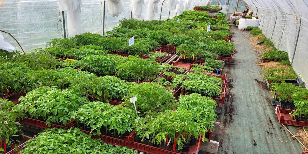  My structure (Normandie, Manche)