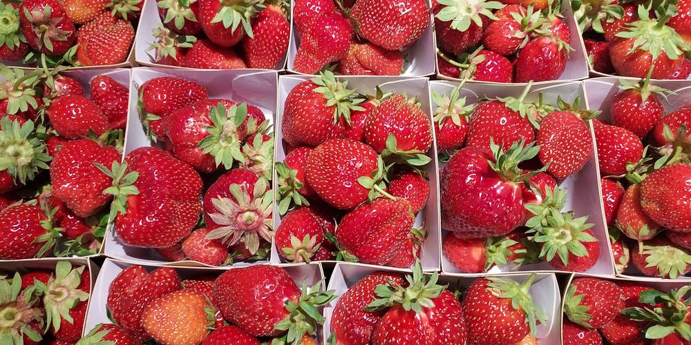  My structure (Normandie, Manche)