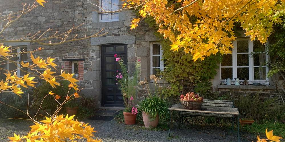 Quelques pommes -  Chez Marie Roulotte (Normandie, Manche)