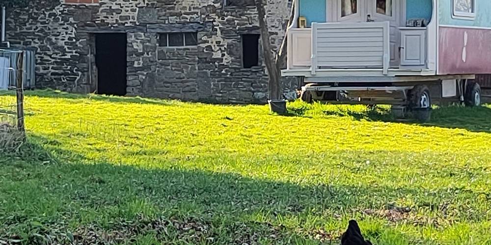 La roulotte Figue -  Chez Marie Roulotte (Normandie, Manche)