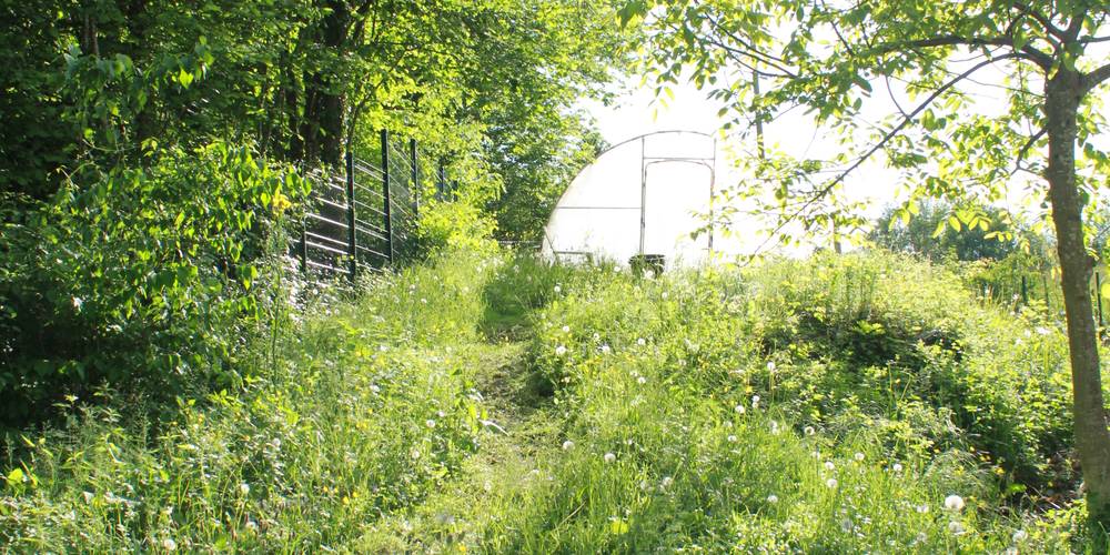  La ferme des Bédailles (Auvergne-Rhône-Alpes, Haute-Savoie)