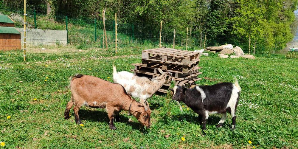  La ferme des Bédailles (Auvergne-Rhône-Alpes, Haute-Savoie)