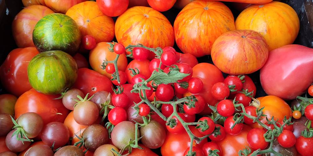  La ferme des Bédailles (Auvergne-Rhône-Alpes, Haute-Savoie)