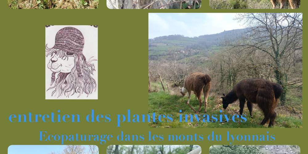  Ferme de répit Les Gentilles Canailles (Auvergne-Rhône-Alpes, Loire)