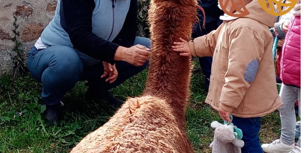  Ferme de répit Les Gentilles Canailles (Auvergne-Rhône-Alpes, Loire)