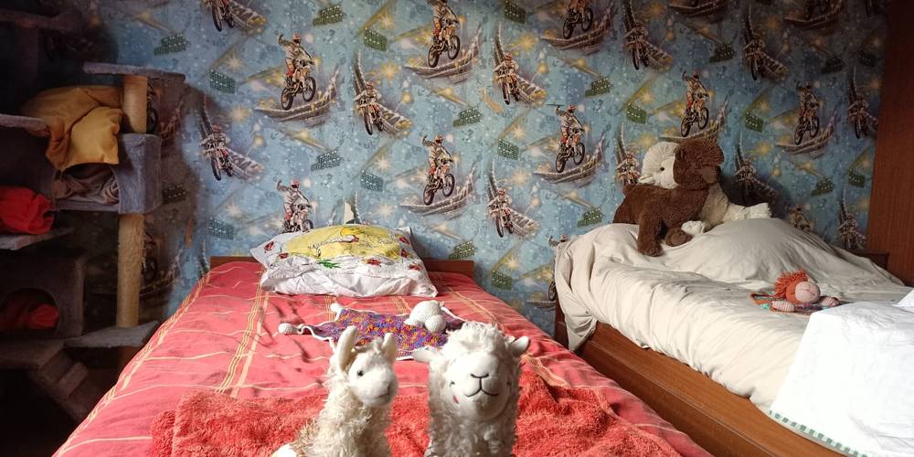  Ferme de répit Les Gentilles Canailles (Auvergne-Rhône-Alpes, Loire)