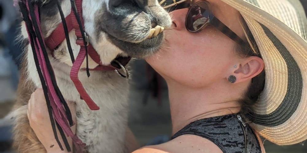  Ferme de répit Les Gentilles Canailles (Auvergne-Rhône-Alpes, Loire)