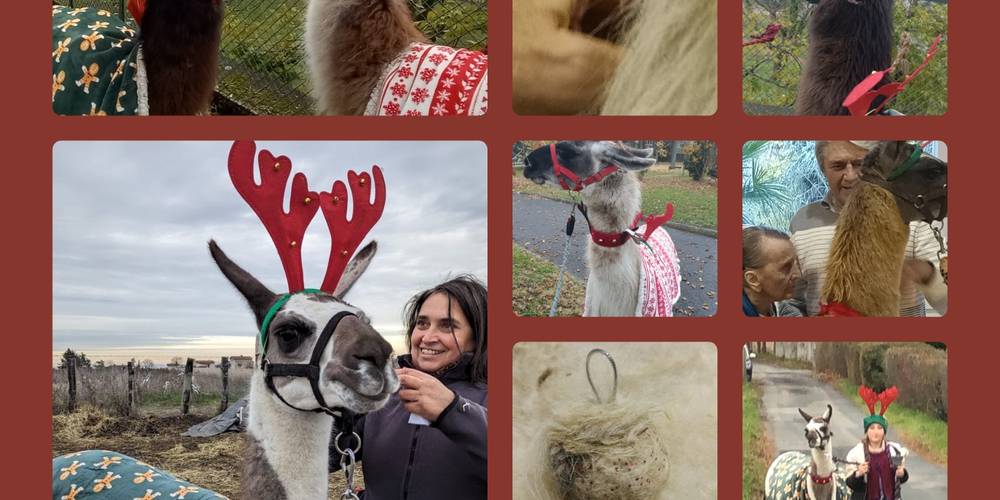  Ferme de répit Les Gentilles Canailles (Auvergne-Rhône-Alpes, Loire)