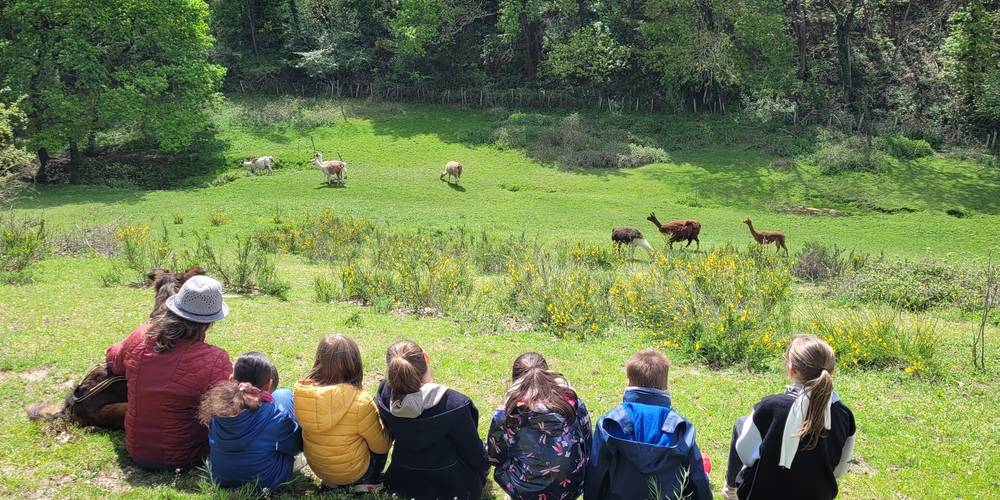  Ferme de répit Les Gentilles Canailles (Auvergne-Rhône-Alpes, Loire)