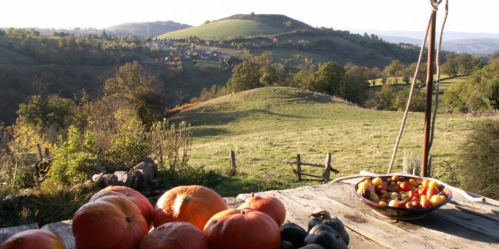 paysage devant la maison , le hameau de roques est isolé, le gite indépendant -  rocabrac (Occitanie, Aveyron)