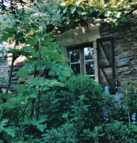 le gîte -  rocabrac (Occitanie, Aveyron)