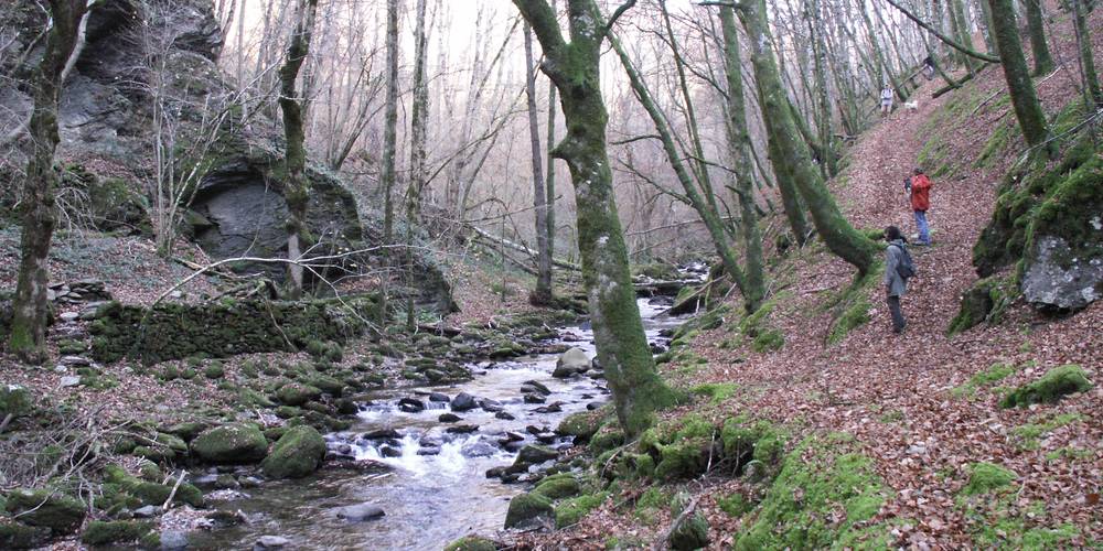 le torrent , 10 mn à pied -  rocabrac (Occitanie, Aveyron)