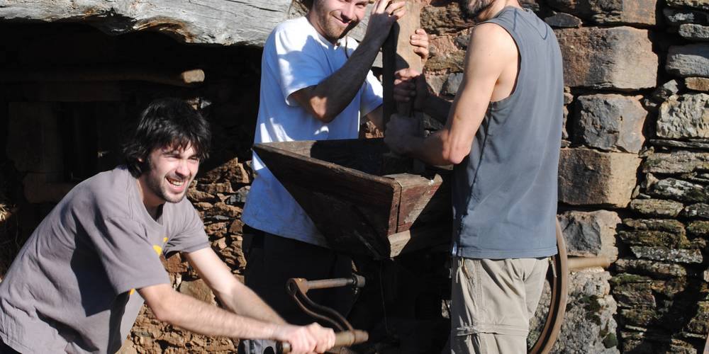 fabrication de jus pomme , diponible pour le gîte -  rocabrac (Occitanie, Aveyron)