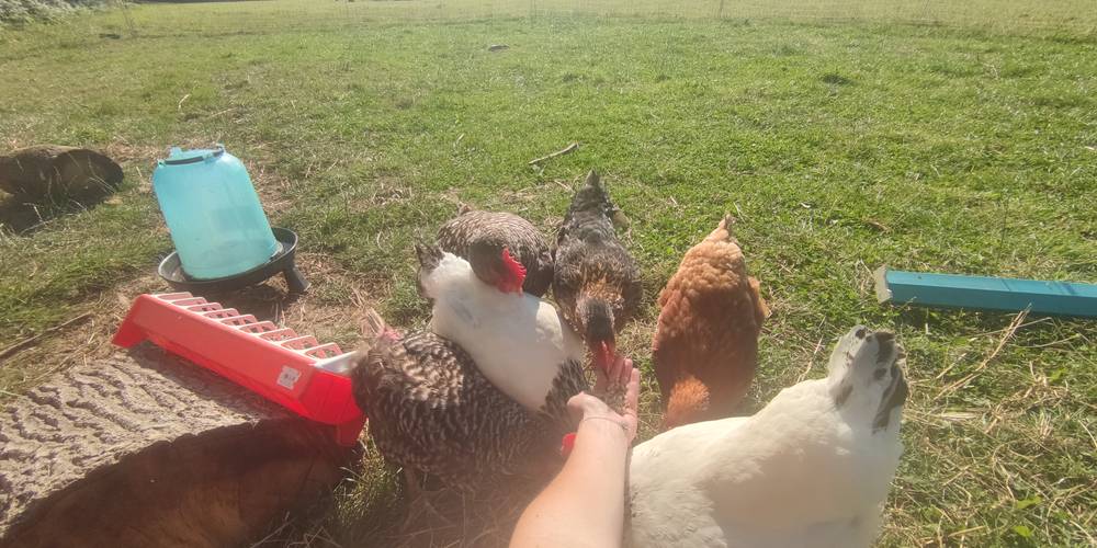  La Parenthèse (Normandie, Manche)