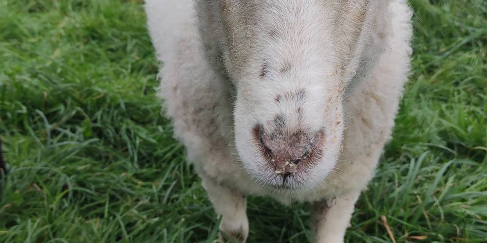  La Parenthèse (Normandie, Manche)