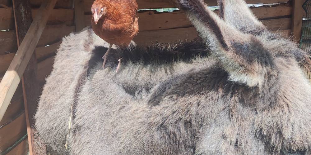  La Parenthèse (Normandie, Manche)