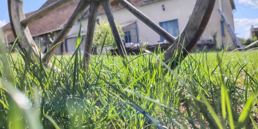 Jardin -  Bienvenue chez Mémé (Bourgogne-Franche-Comté, Yonne)