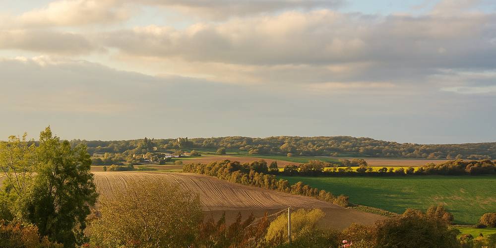 Vue du jardin -  Bienvenue chez Mémé (Bourgogne-Franche-Comté, Yonne)