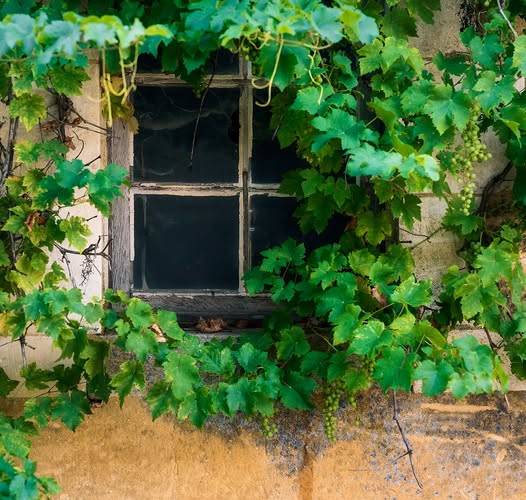 Parking -  Bienvenue chez Mémé (Bourgogne-Franche-Comté, Yonne)