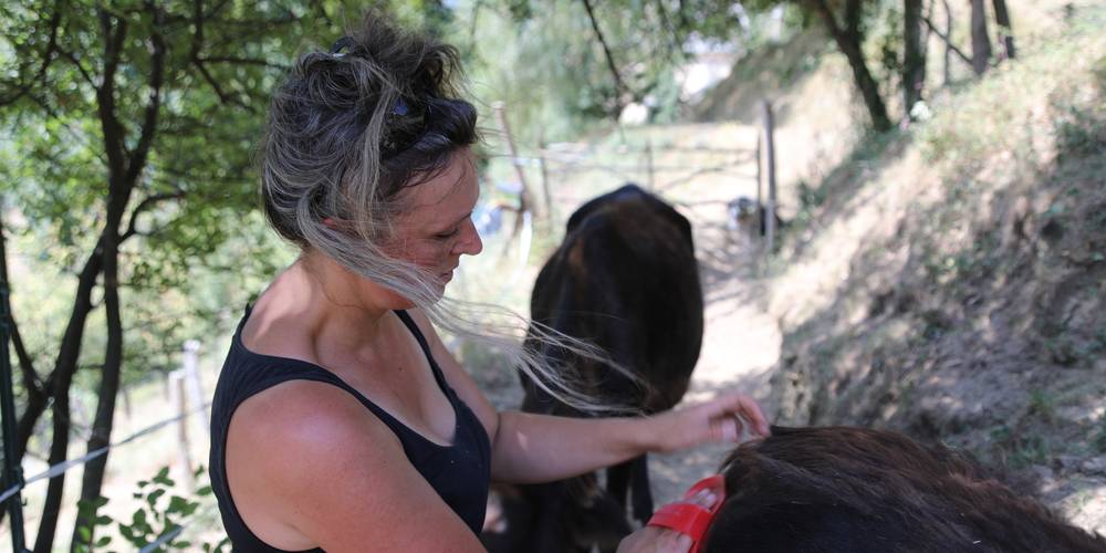  Ferme du Casterou (Occitanie, Hautes-Pyrénées)