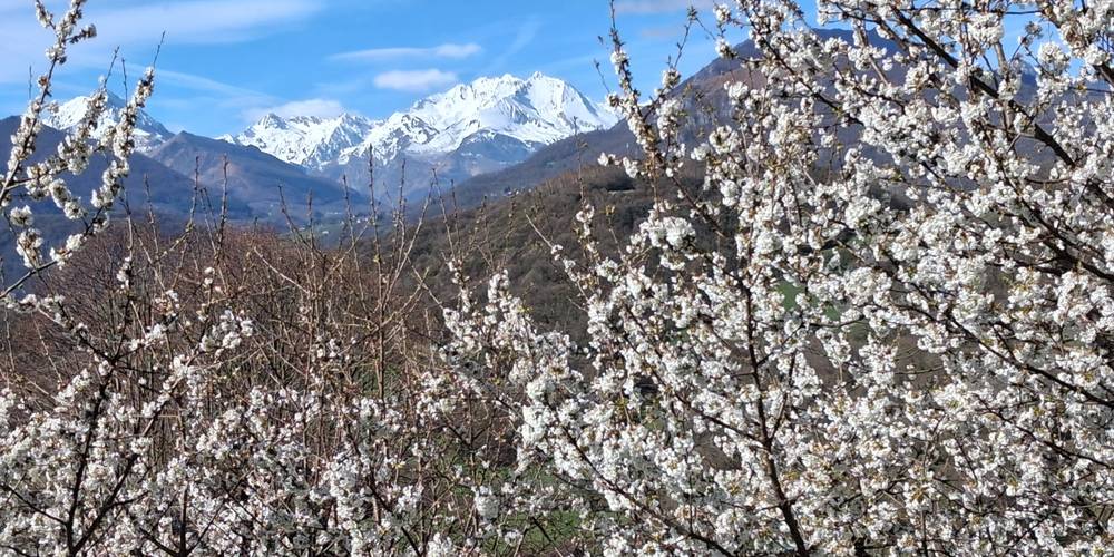  Ferme du Casterou (Occitanie, Hautes-Pyrénées)
