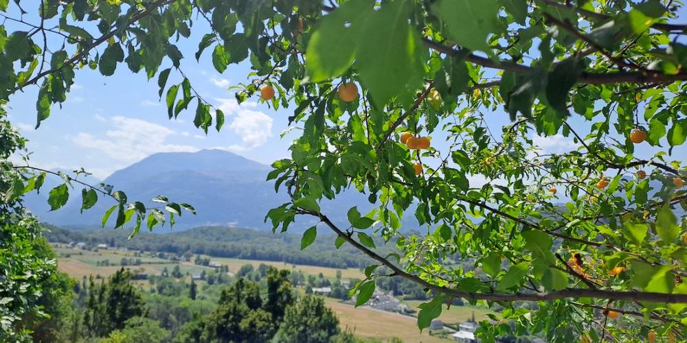  Ferme du Casterou (Occitanie, Hautes-Pyrénées)