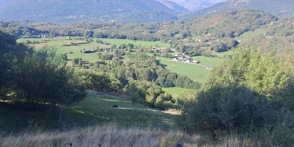  Ferme du Casterou (Occitanie, Hautes-Pyrénées)