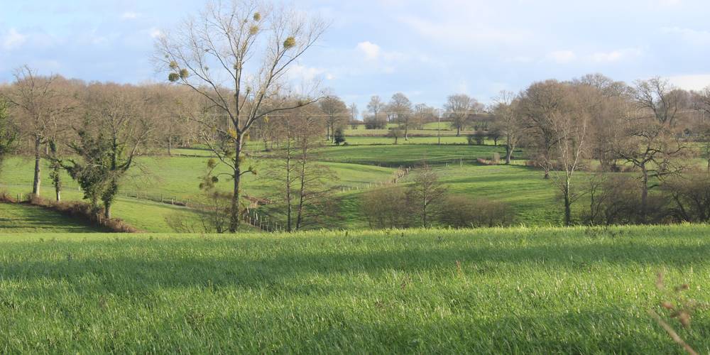  Ferme de Cheux (Normandie, Manche)