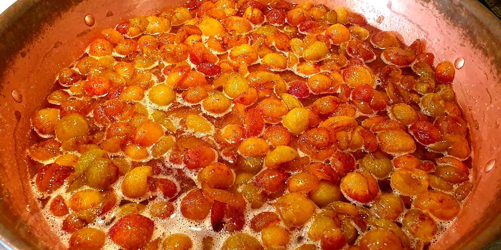  Gîte du Clos Giot (Normandie, Manche)