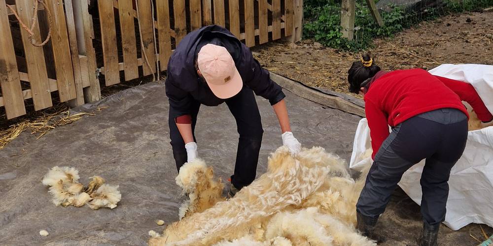  Gîte du Clos Giot (Normandie, Manche)