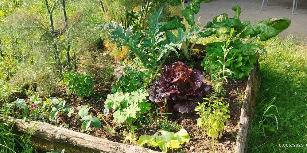  Couette et potager (Nouvelle-Aquitaine, Deux-Sèvres)