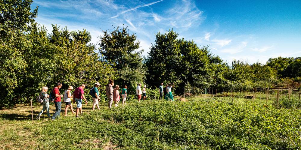  Ecogîte de Rangarnaud (Nouvelle-Aquitaine, Vienne)