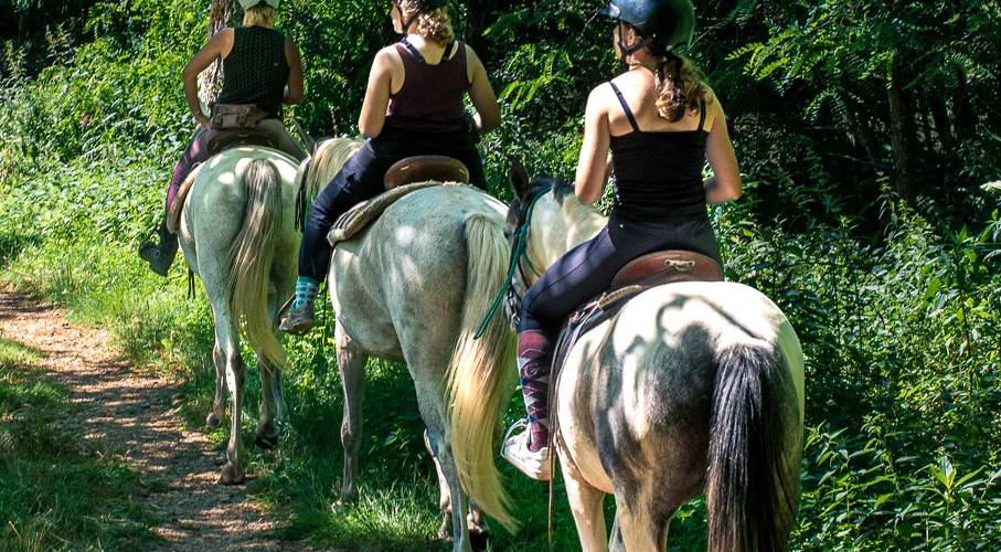 Randonnée estival -  La ferme des grandes oreilles (Occitanie, Tarn)