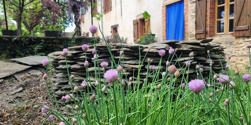 Spirale aromatique -  La ferme des grandes oreilles (Occitanie, Tarn)