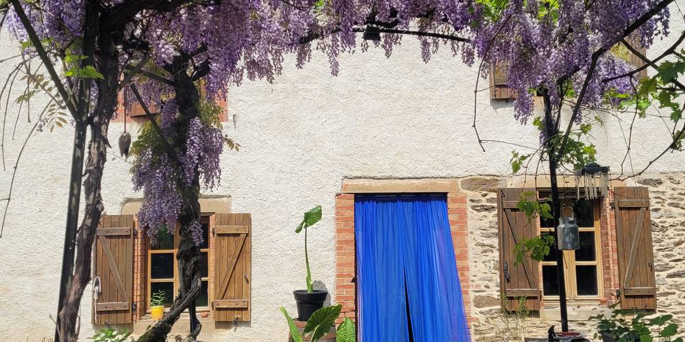 Devant la porte d'entée -  La ferme des grandes oreilles (Occitanie, Tarn)