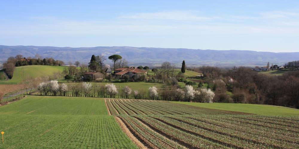  En Ambrosi (Occitanie, Tarn)