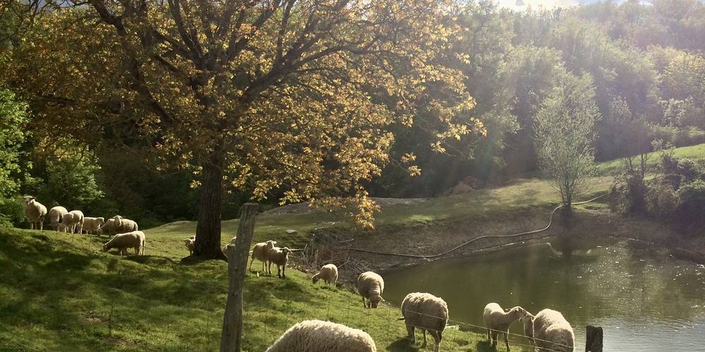  En Ambrosi (Occitanie, Tarn)