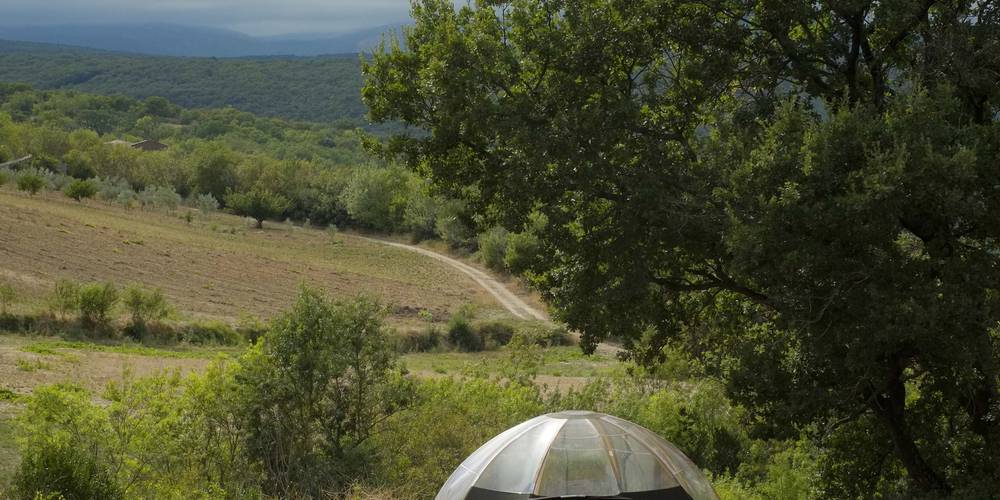 Wig wam bulle grand chêne -  Les Cabânes (Occitanie, Hérault)