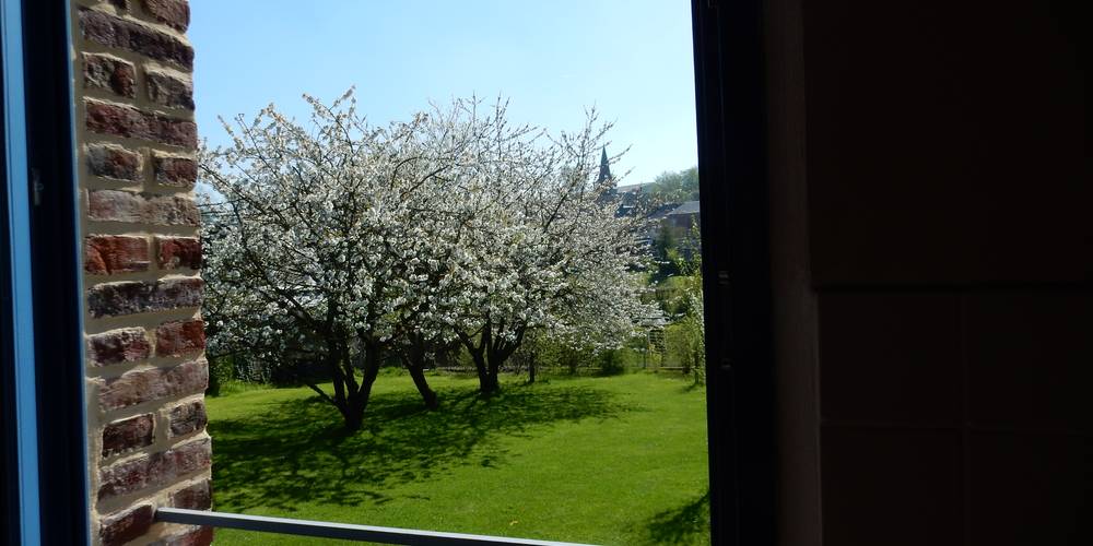 printemps au gite vu du séjour -  Le Cabray (Normandie, Seine-Maritime)