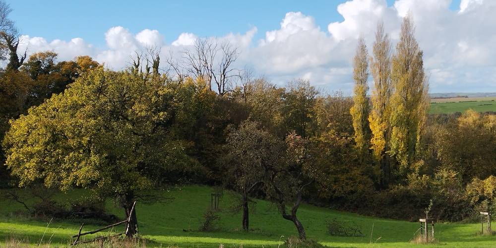  Le Clos d'Hydrequent (Hauts-de-France, Pas-de-Calais)