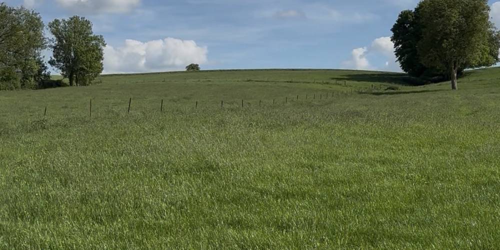  My structure (Hauts-de-France, Aisne)