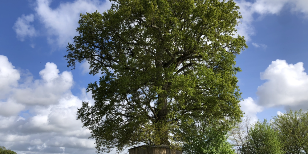  Terres de Morlière, "La Canopée" Vacation Rental (Pays de la Loire, Mayenne)