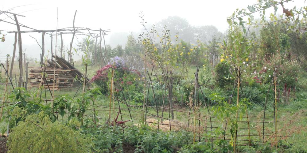 Jardin en automne -  Kaïros (Auvergne-Rhône-Alpes, Allier)
