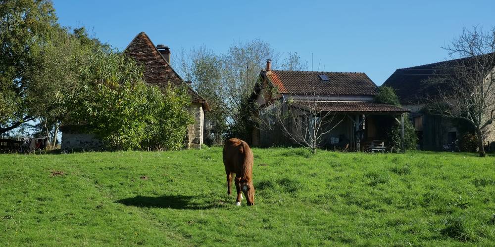  Kaïros (Auvergne-Rhône-Alpes, Allier)