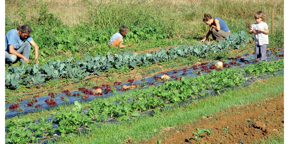 Au jardin en famille -  LE JARDIN DU CROUZET (Nouvelle-Aquitaine, Dordogne)