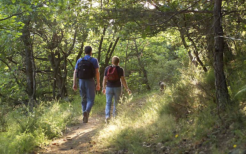 Une rando dans la forêt -  GITE DES SOUINS (Auvergne-Rhône-Alpes, Ardèche)
