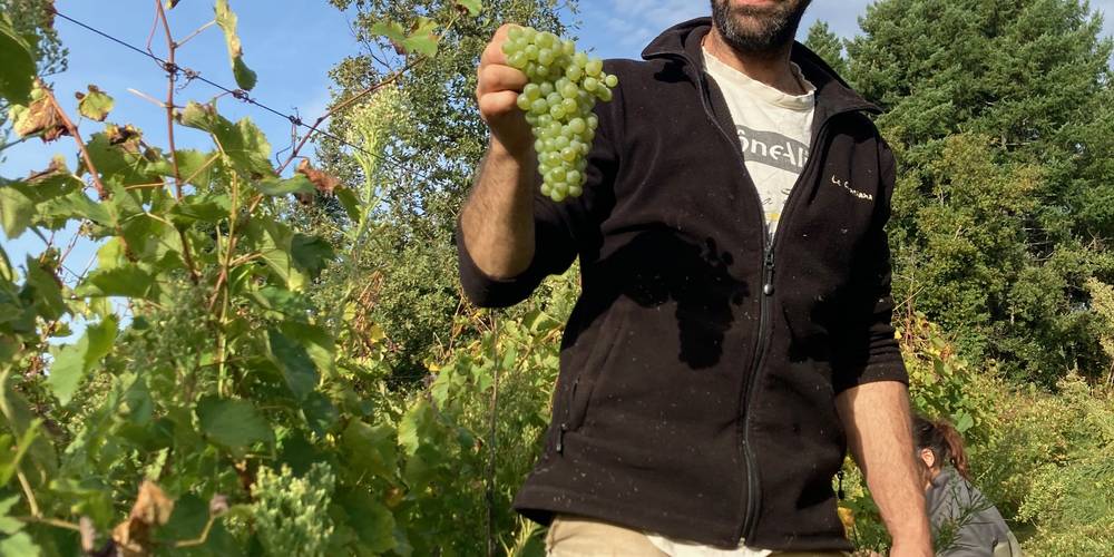  GITE DES SOUINS (Auvergne-Rhône-Alpes, Ardèche)